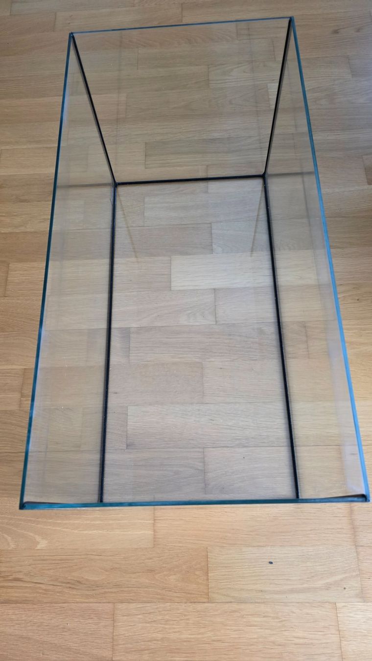 Terrario: Glasbecken, Terrarium – Usato da Zürich venduto da Lemon007