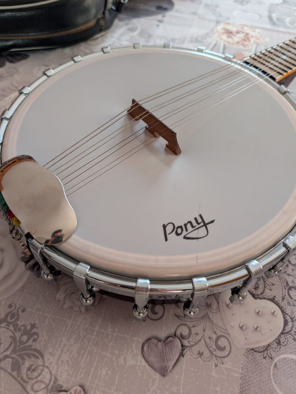 Strumenti musicali: Original Pony Banjo – Usato da Fribourg venduto da mikedust 1