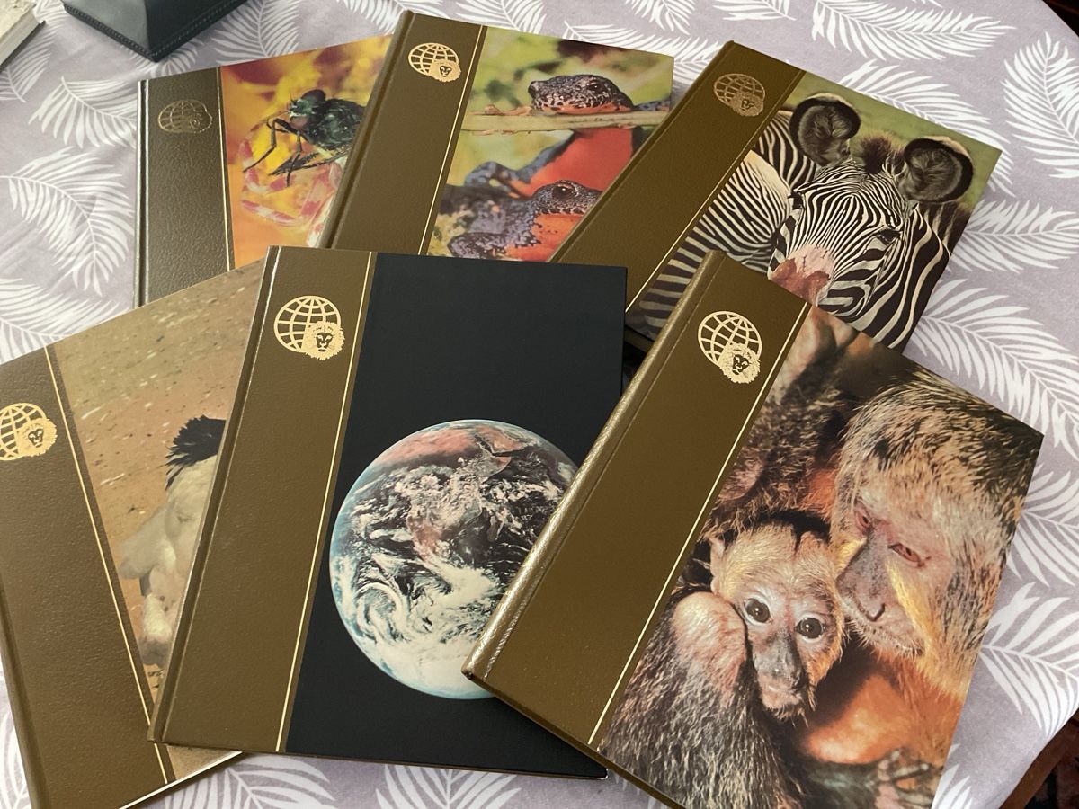 Livres: Royaume des animaux – D'occasion à Pully par pga_95p7 5