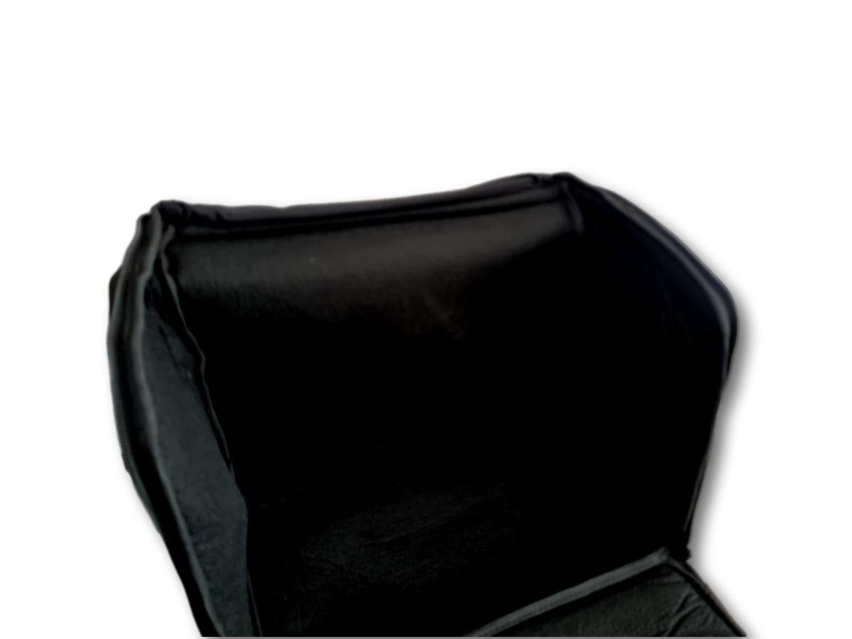 Strumenti musicali: Universal Rucksack für Harmonika und Schwyzerörgeli – Nuovo e nell'imballaggio originale da Weiz venduto da Alphorn-Rieger 2