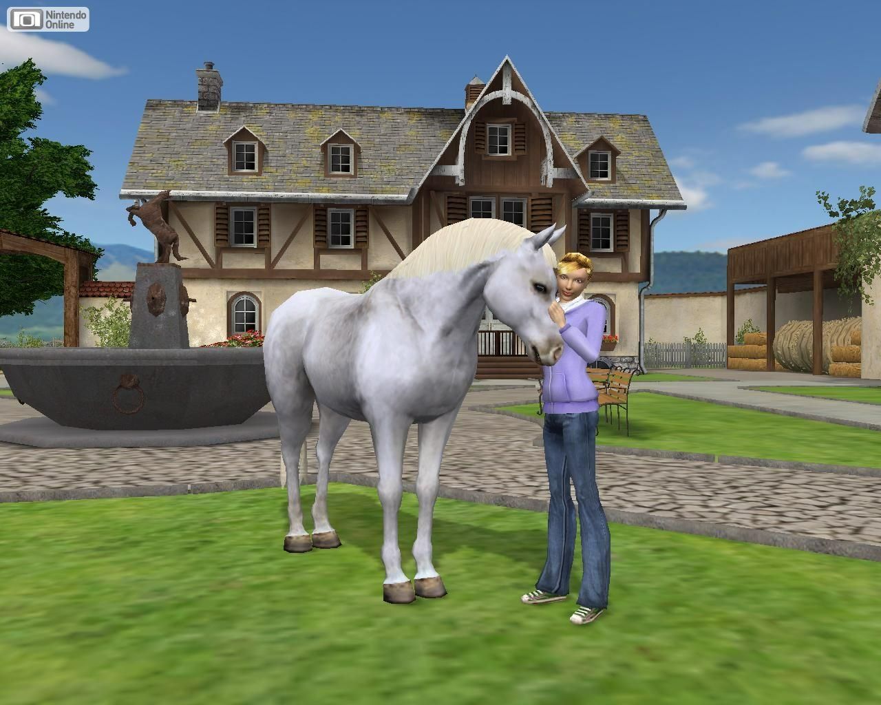 Nintendo Giochi: 😎Pferd & Pony Mein Gestüt    DS – Usato da Schüpfheim venduto da Games_Spielkonsolen 6