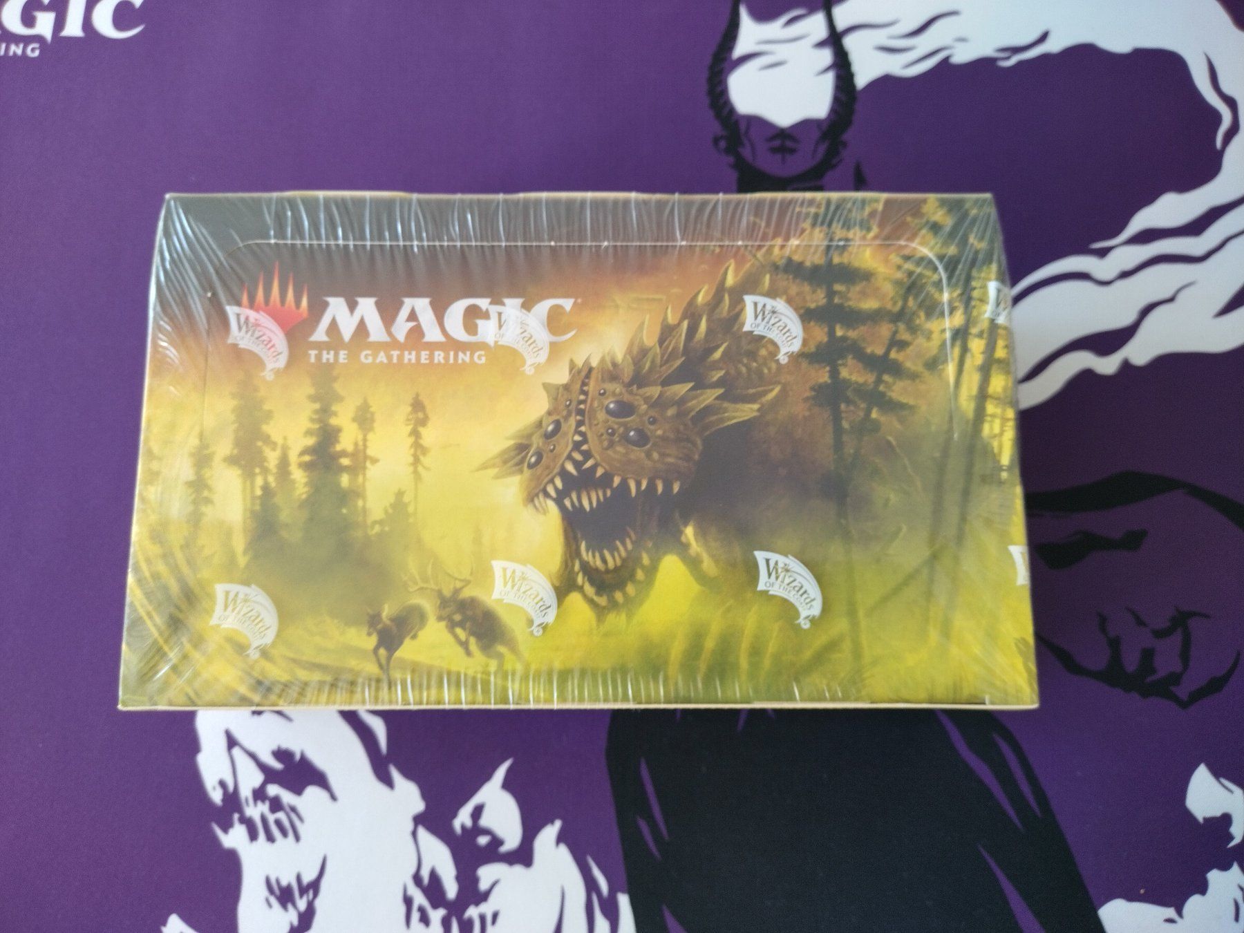 Magic The Gathering Carte collezionabili: MTG - Time Spiral Remastered Booster Box – Nuovo e nell'imballaggio originale da Reinach BL venduto da Flower_Kid_82