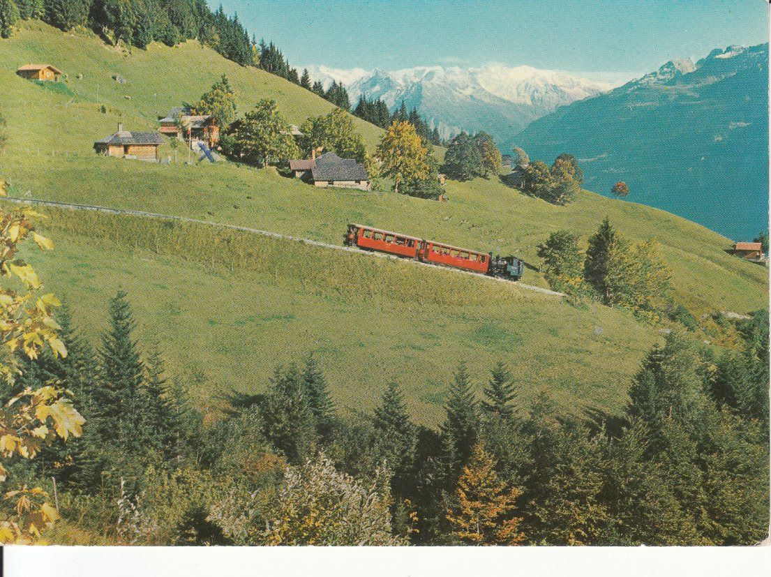 Cartoline postali: Planalp 1981 – Usato da Bürglen TG venduto da StampGraf