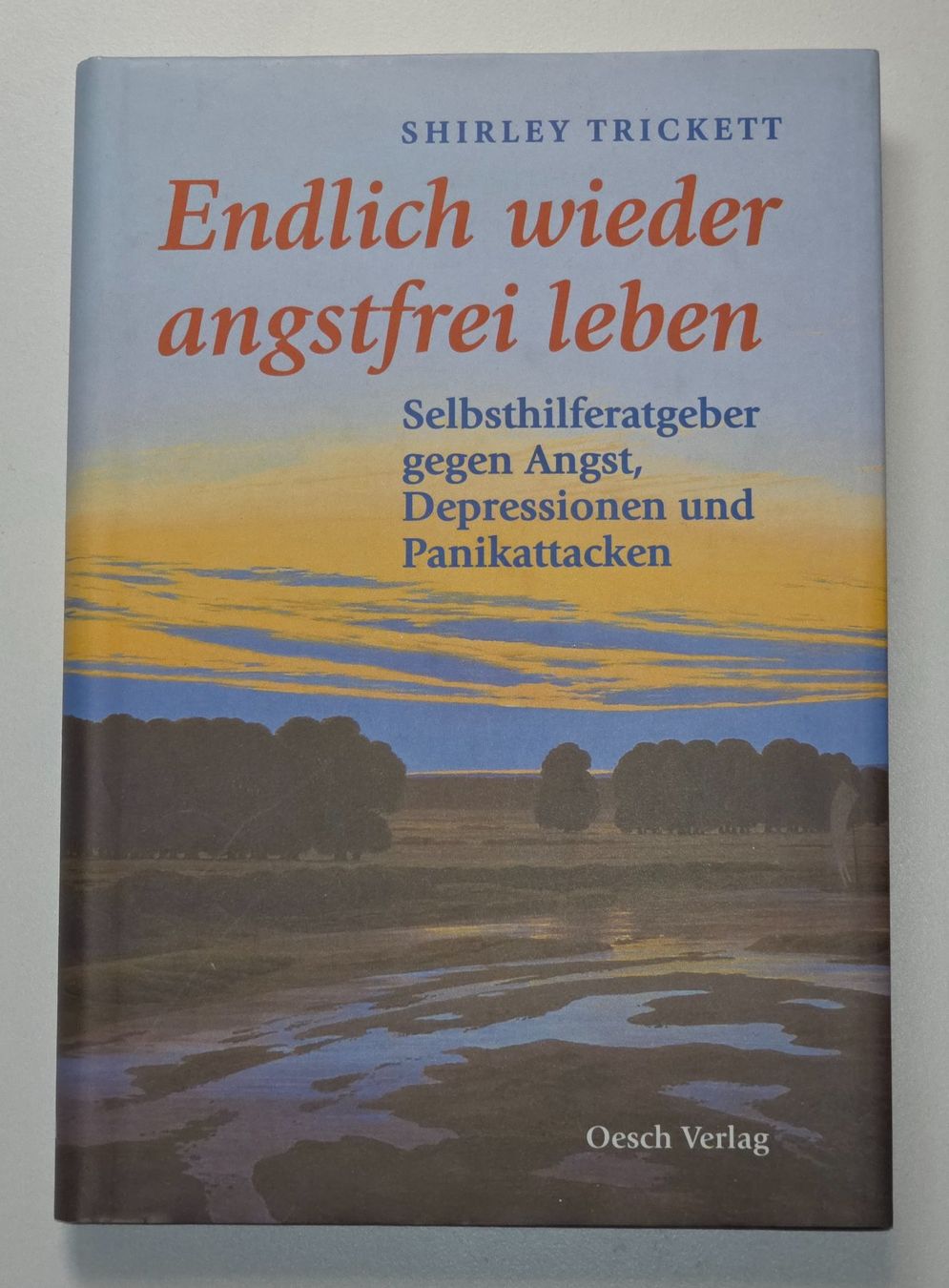 Libri: WIEDER ANGSTFREI LEBEN Selbsthilfe Panikattacken Depression – Nuovo (secondo la descrizione) da Dürnten venduto da Bachtelrider_