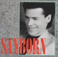 David Sanborn, Marcus Miller,Paulinho da Costa,Hiram Bullock