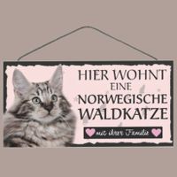 🔥 NORWEGISCHE WALDKATZE Holzschild mit Kordel🎀 12x25 NEU🔥