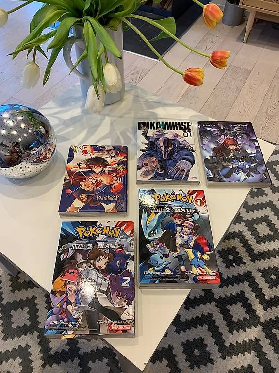 Fumetti: Lot de manga – Usato da Bussigny venduto da Gadz10