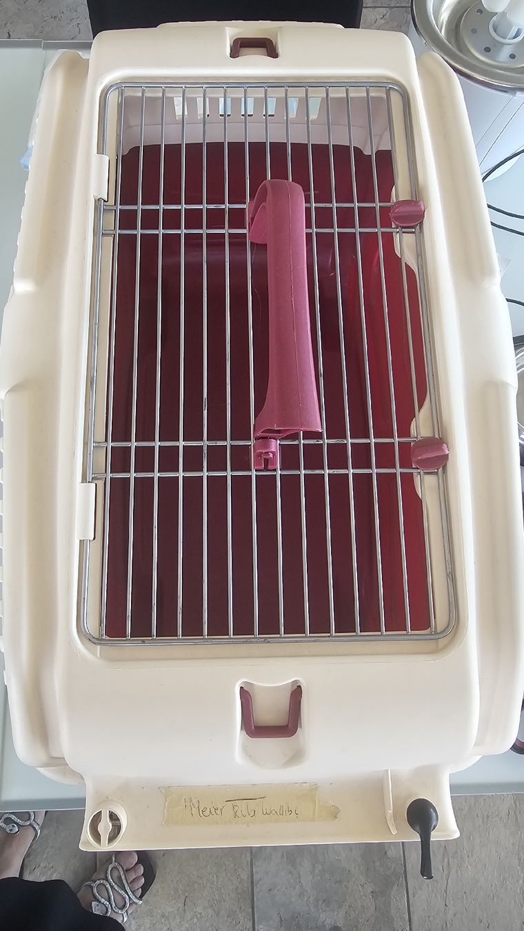 Käfige, Transport & Sicherheit: cage transport chat/animaux  – Gebraucht aus Nax von mojy 3