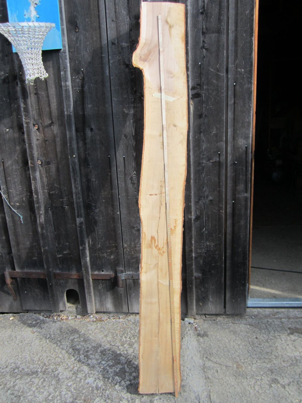 Articoli in legno: Vogelbeerbaum  zum Drechseln – Nuovo (secondo la descrizione) da Nesslau venduto da Jakobi01 1