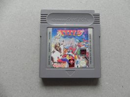 Nintendo Gameboy Game Boy Fuchs Spiel Titus Fox