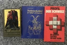 Bücher Karl May, Bündnergeschichte(n), Profil der Schweiz,