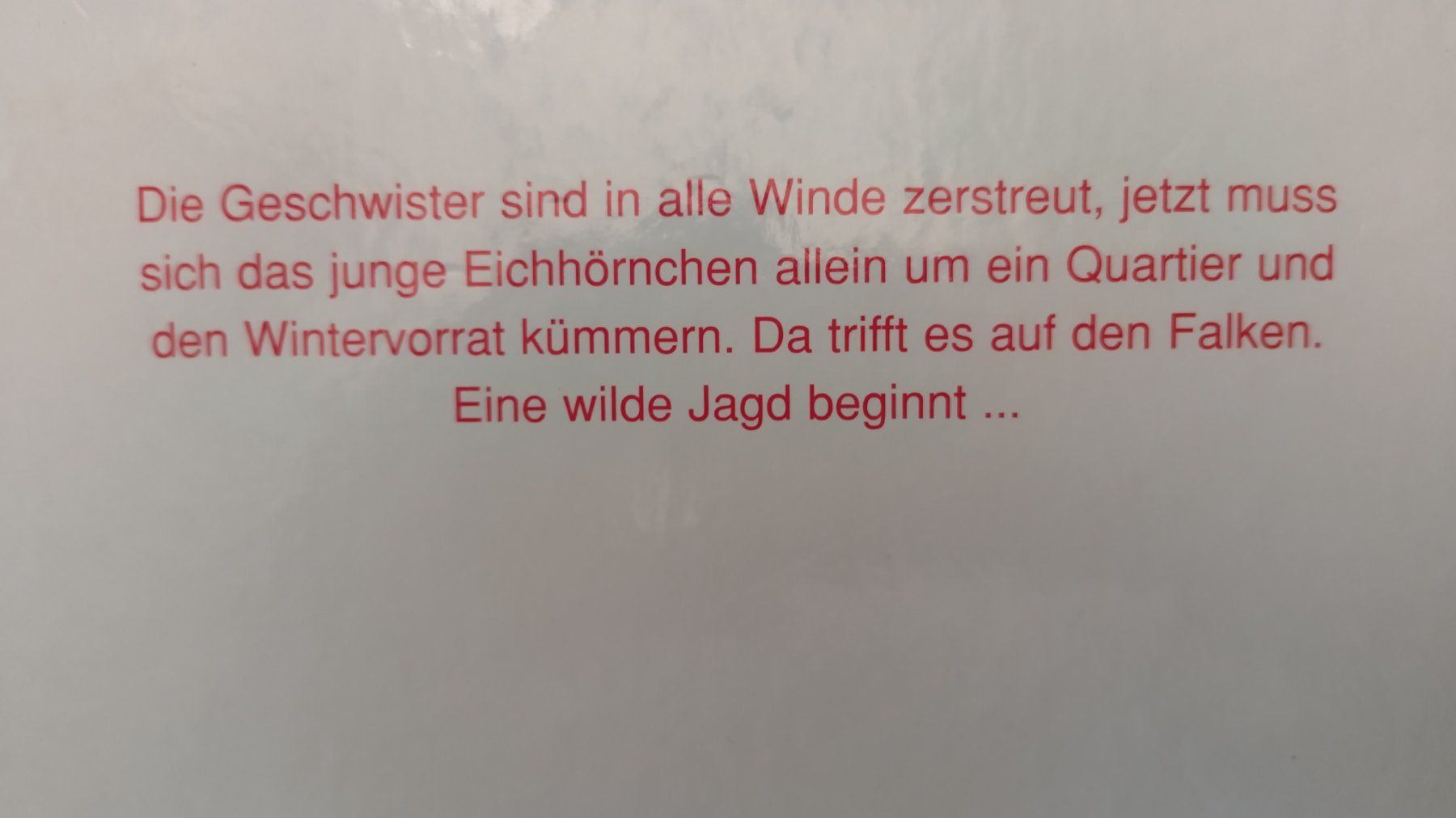 Libri: Eichhörnchenverstecke / Eichhörnchen Bilderbuch ab Fr. 8.- – Usato da Bellach venduto da JingleJerry 8