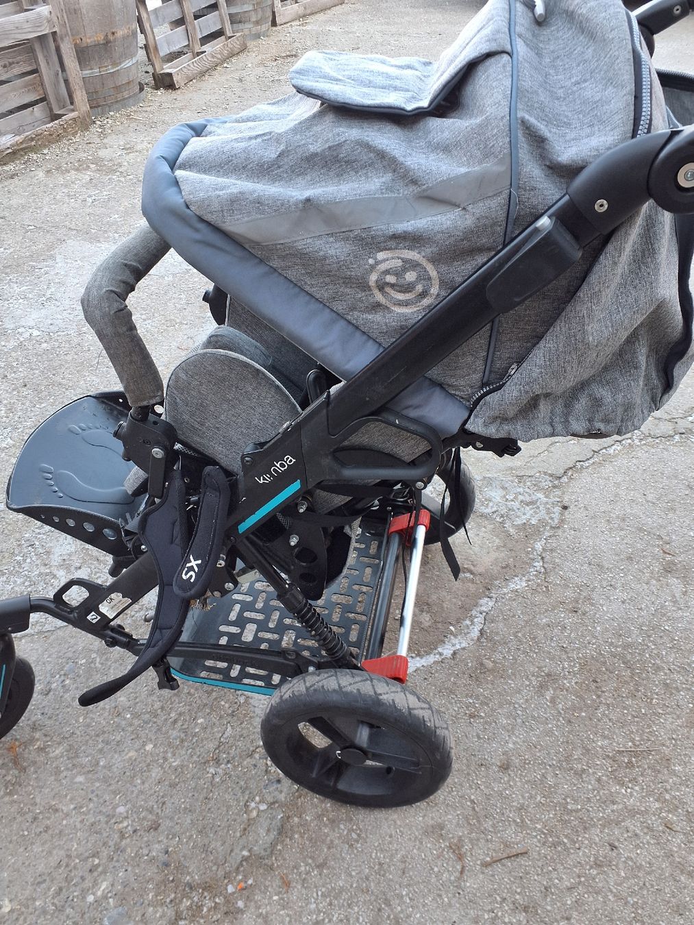 Carrozzine: poussette pour enfants avec handicap – Usato da Sion venduto da Sam-stress 3