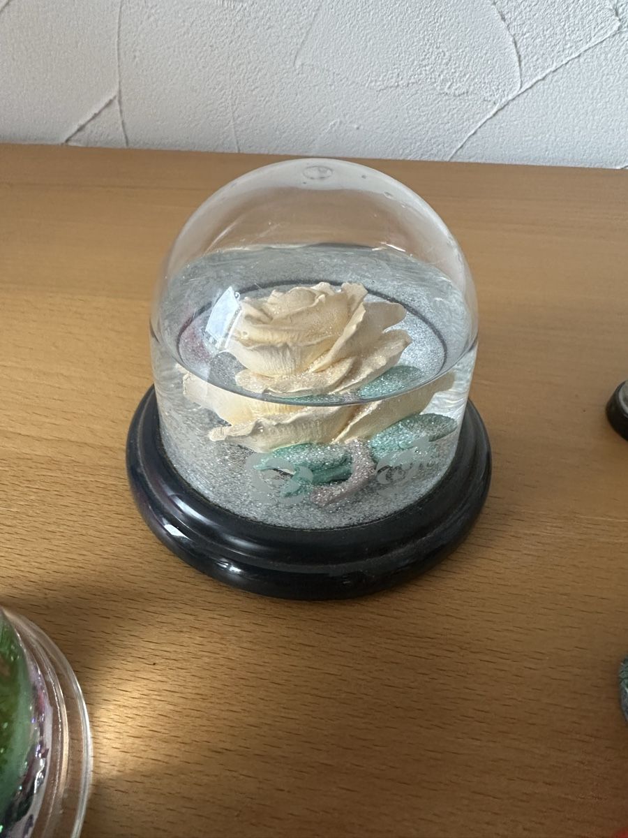 Tutte le decorazioni: Diverse Schneekugeln – Usato da Langnau aA venduto da Camelia14 4
