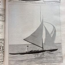 Profile image of edelweiss1900