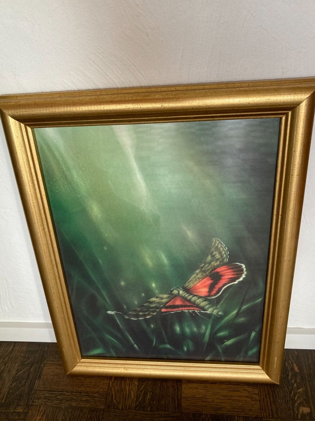 Foto & Immagini: FRIEDRICH  HECHELMANN  Kunstdruck von Gemälde  Schmetterling – Usato da Subingen venduto da ArtBead 2