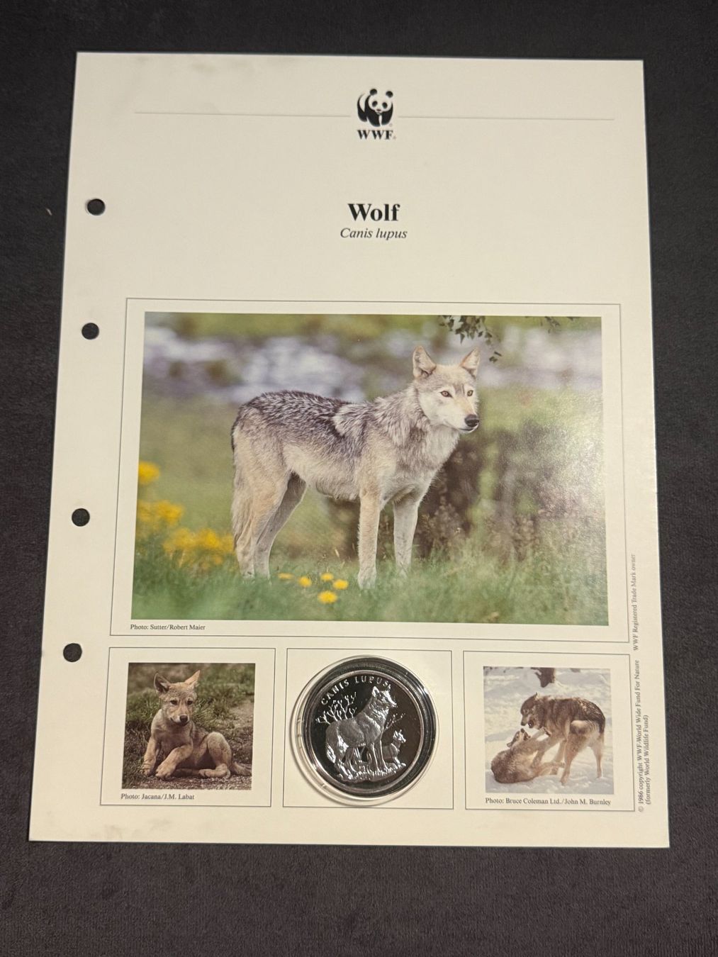 Tutti le monete: WWF Numisblatt - PP / 20 Gr. - 0.999 Silber – Nuovo (secondo la descrizione) da Arch venduto da Liam1919