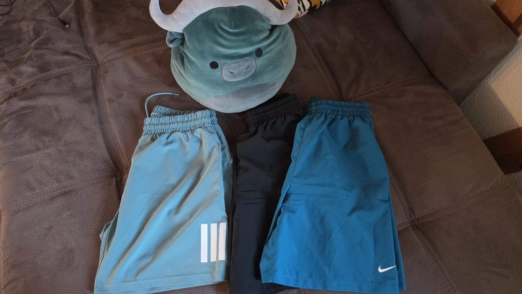 Nike Kleiderpakete: Sporthosen Set 176 – Gebraucht aus Grosswangen von DenChey