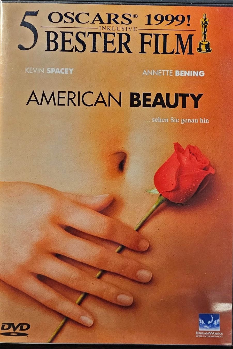Tutti i DVDs: American Beauty – Usato da Wahlen b. Laufen venduto da Cg10