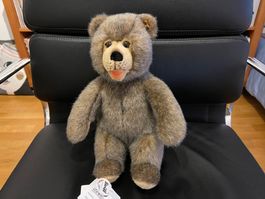 Kultiger Steiff Teddy Bär, NEU, Sammlerstück!