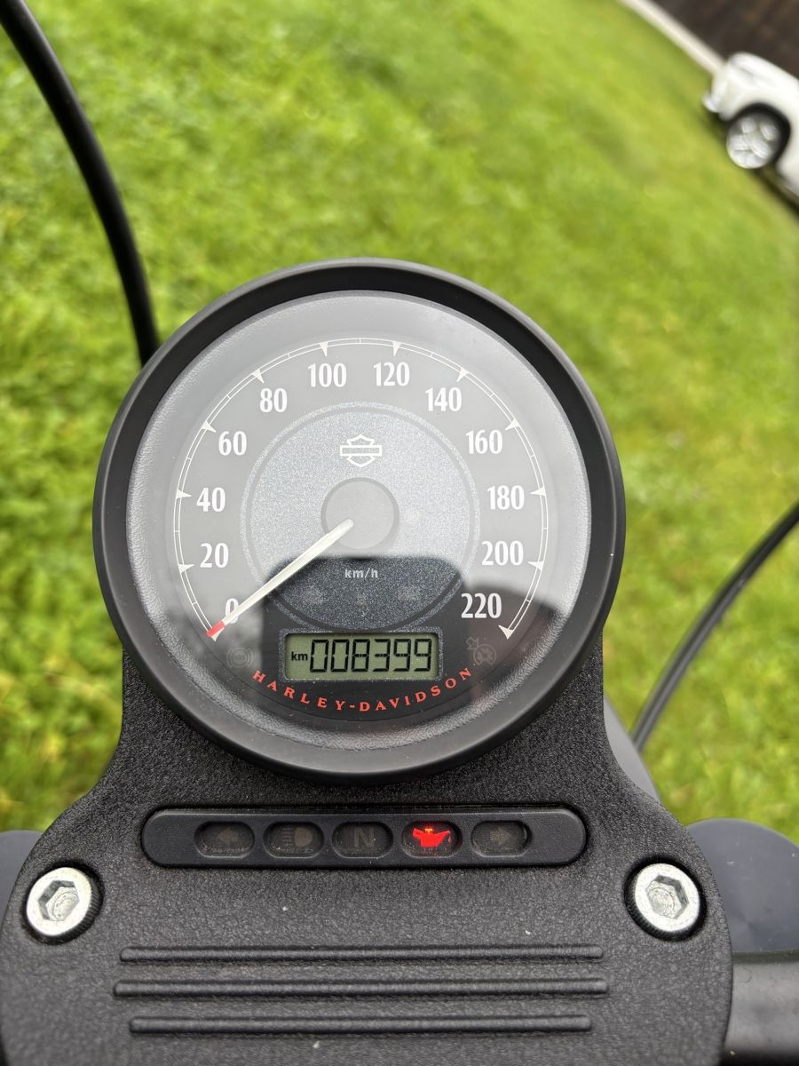 Chopper: Harley Davidson Sporster Iron 883 – Gebraucht aus Illnau von Zelgliservice 4