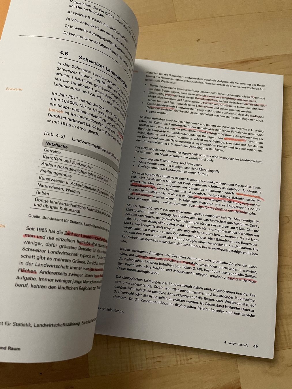 Bücher: Wirtschaft, Umwelt und Raum – Gebraucht aus Lenzburg von eljare 1