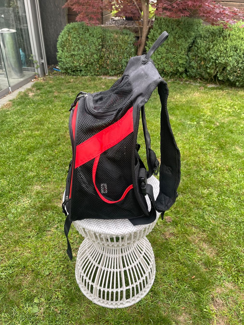 Zaini: Rucksack für kleine Hunde oder Katzen. – Usato da Wettswil venduto da sal_9n9d 1