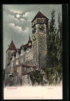 Mondschein-AK Rapperswil, Das Schloss im