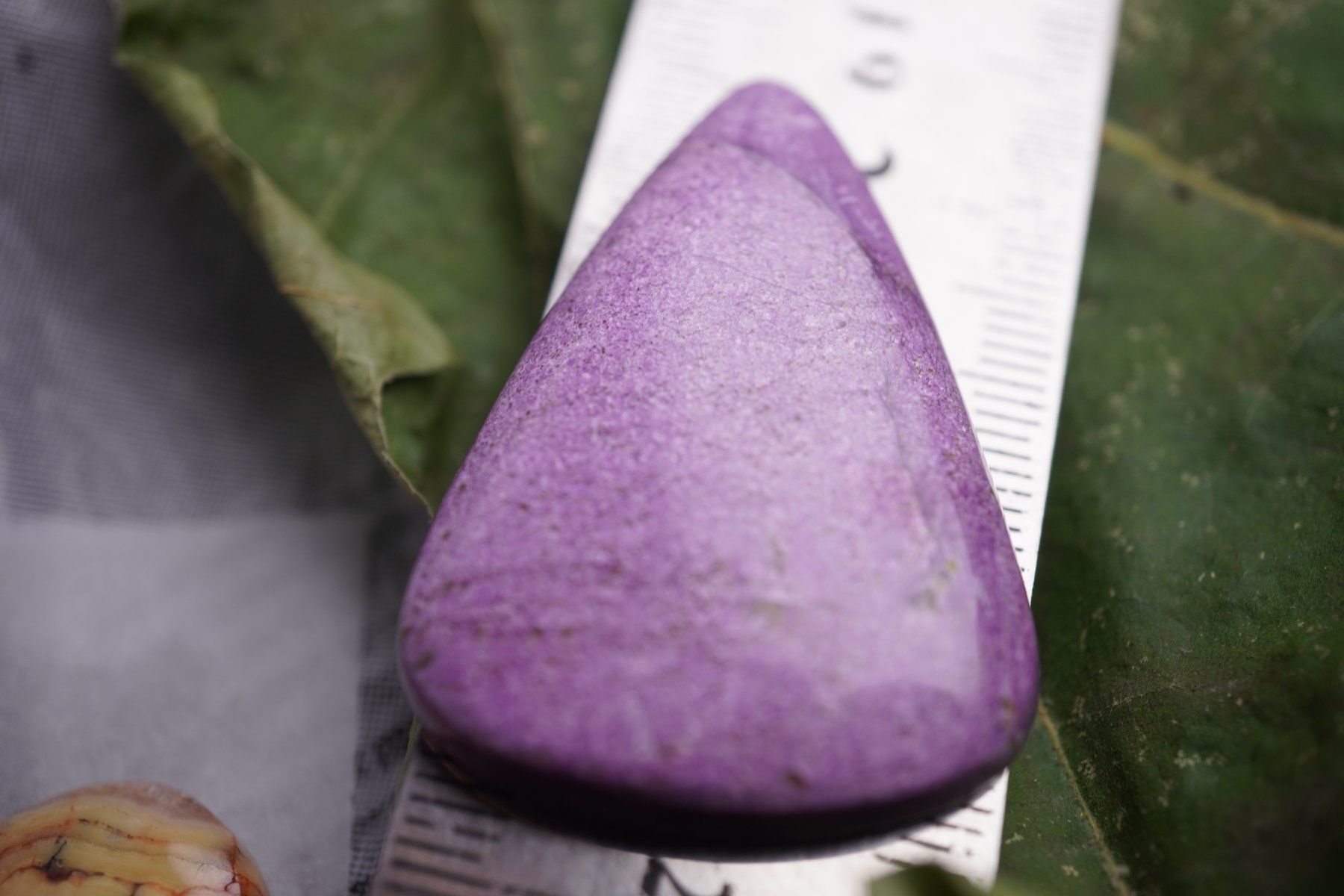Minerali & Pietre curative: Stichtit      Cabochon 46ct  ab 1.- – Nuovo e nell'imballaggio originale da Eschenbach SG venduto da topstone 3