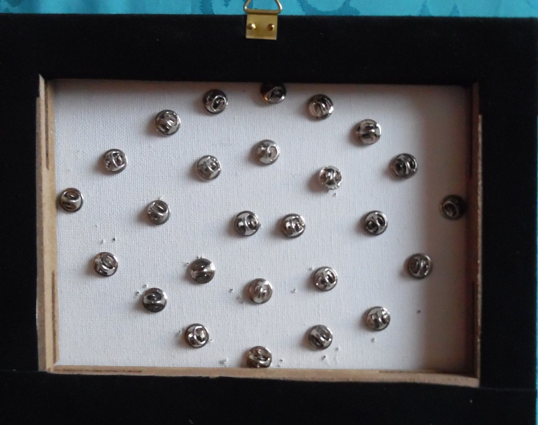 Placchette & Badge: Pin-Sammlung – Usato da Bellinzona venduto da Luna093 5