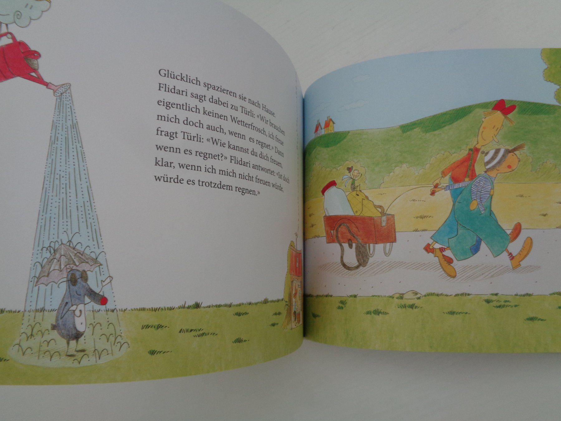 Libri: Türli & Flidari im Schollariet – Usato da Chur venduto da Oregano1 5
