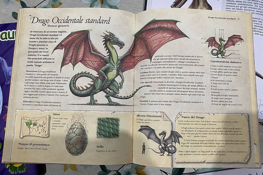 Libri: 7 libri dinosauri + libro draghi + libro puzzle – Usato da Castel San Pietro venduto da sab_lj2d 4