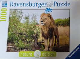Puzzle Löwe natur edition
