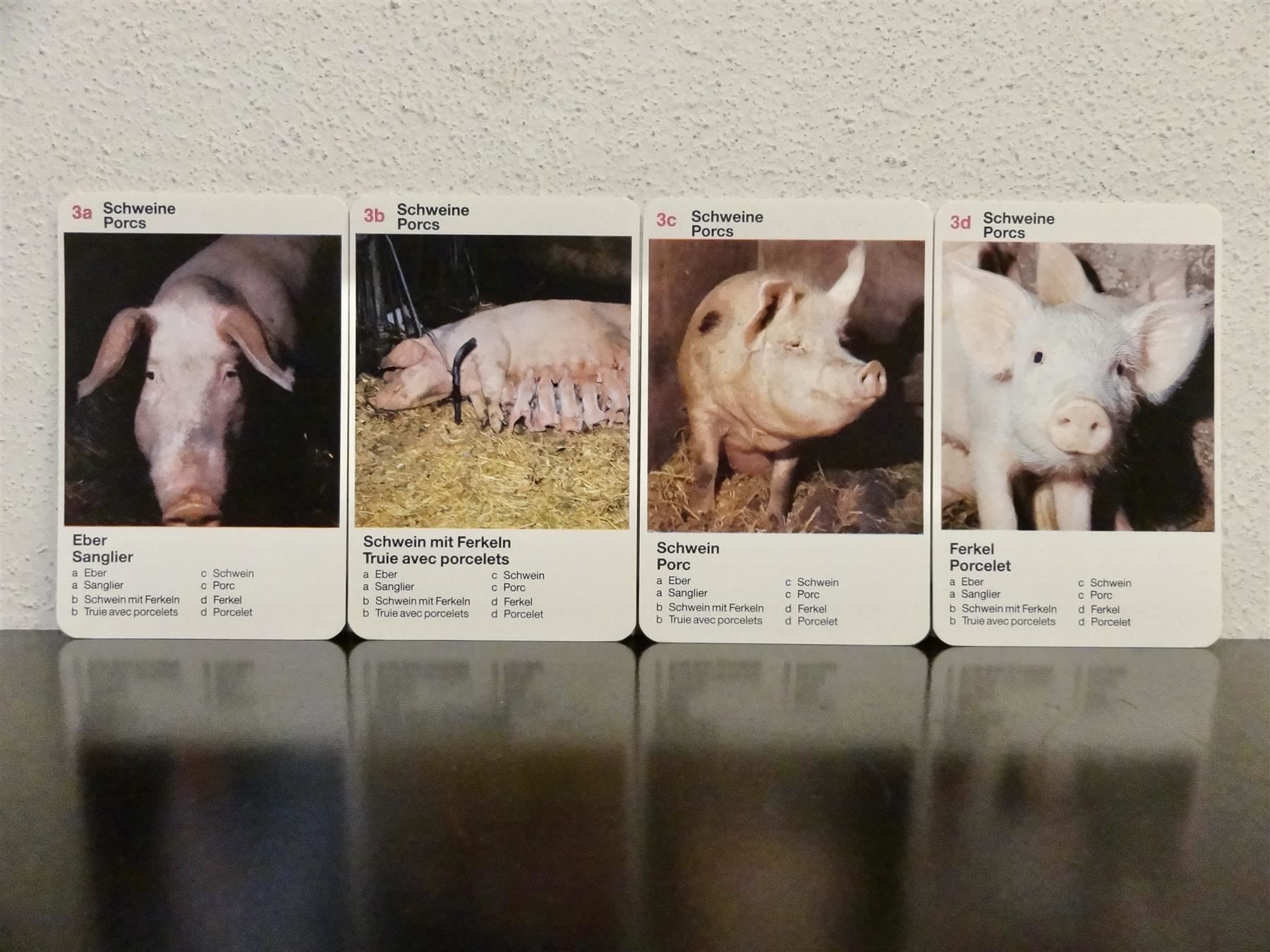 Spiele: Quartett AUF DEM BAUERNHOF TIER-QUARTETT – Gebraucht aus Kerzers von wisaundso 5