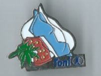 Plaketten & Abzeichen: Toni Erdbeere, Pin – Gebraucht aus Zürich von t24_de