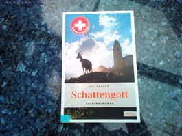 Schattengott von Uli Paulus