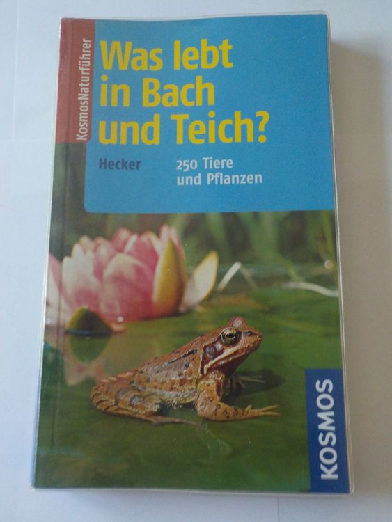 Was lebt im Bach und Teich Kaufen auf Ricardo