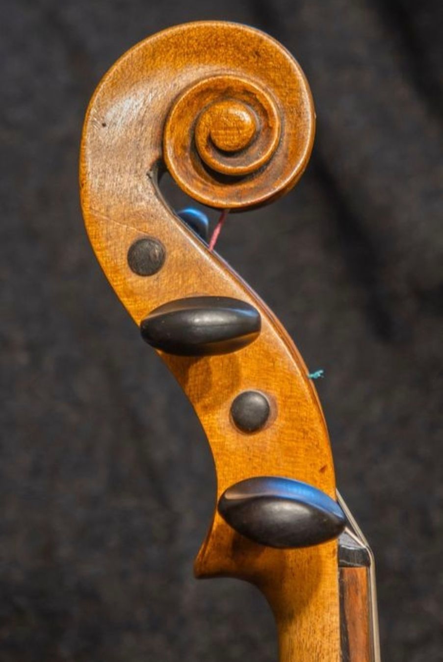 Strumenti musicali: Alte Violine Hopf ? – Difettoso da Zürich venduto da Philotimo 4