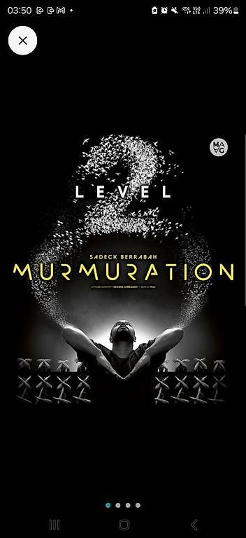 Biglietti: 2 Tickets MURMURATION LEVEL 2" Reihe 6 – Nuovo (secondo la descrizione) da Winterthur venduto da Pianistin87