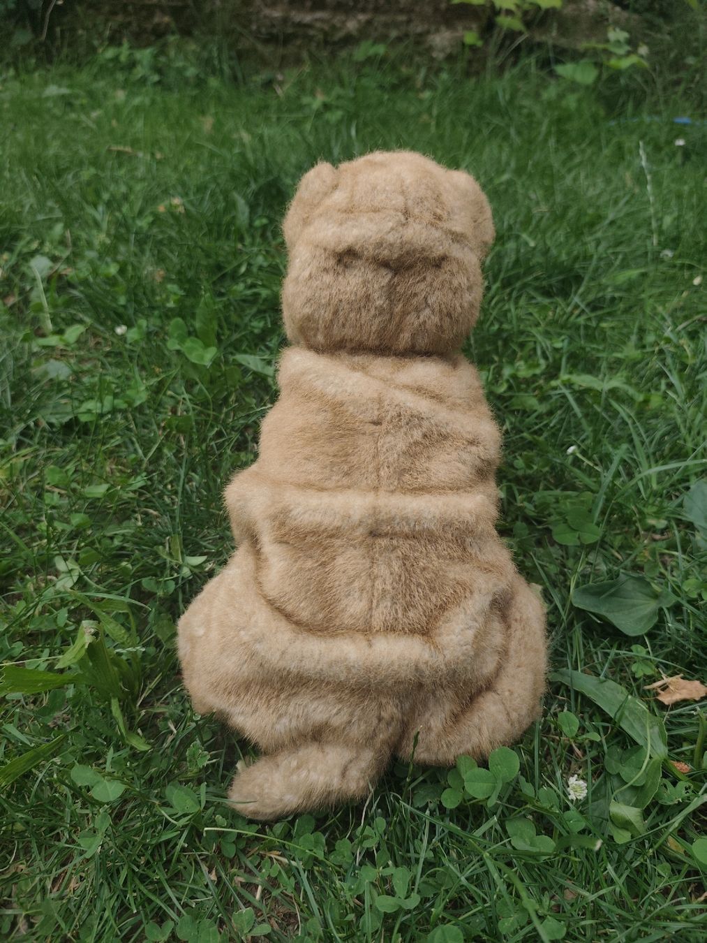 Spielzeuge: Shar-pai Hund Plüschtier  – Gebraucht aus Wald ZH von Enyafay 1