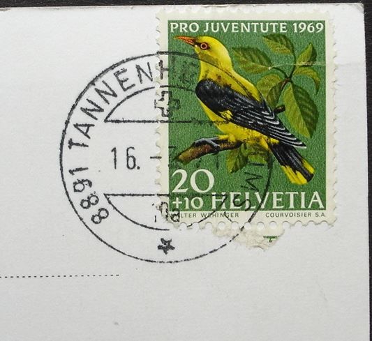 Cartoline postali: FLUMSERBERG Ski- u. Ferienhaus Sunnebode – Usato da Jona venduto da philajona 1