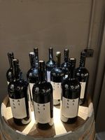 Balin Magnum Vertikale 2011 bis 2020