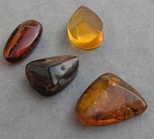 ♥ DOMINIKANISCHER BERNSTEIN / 4 x CABOCHON ♥