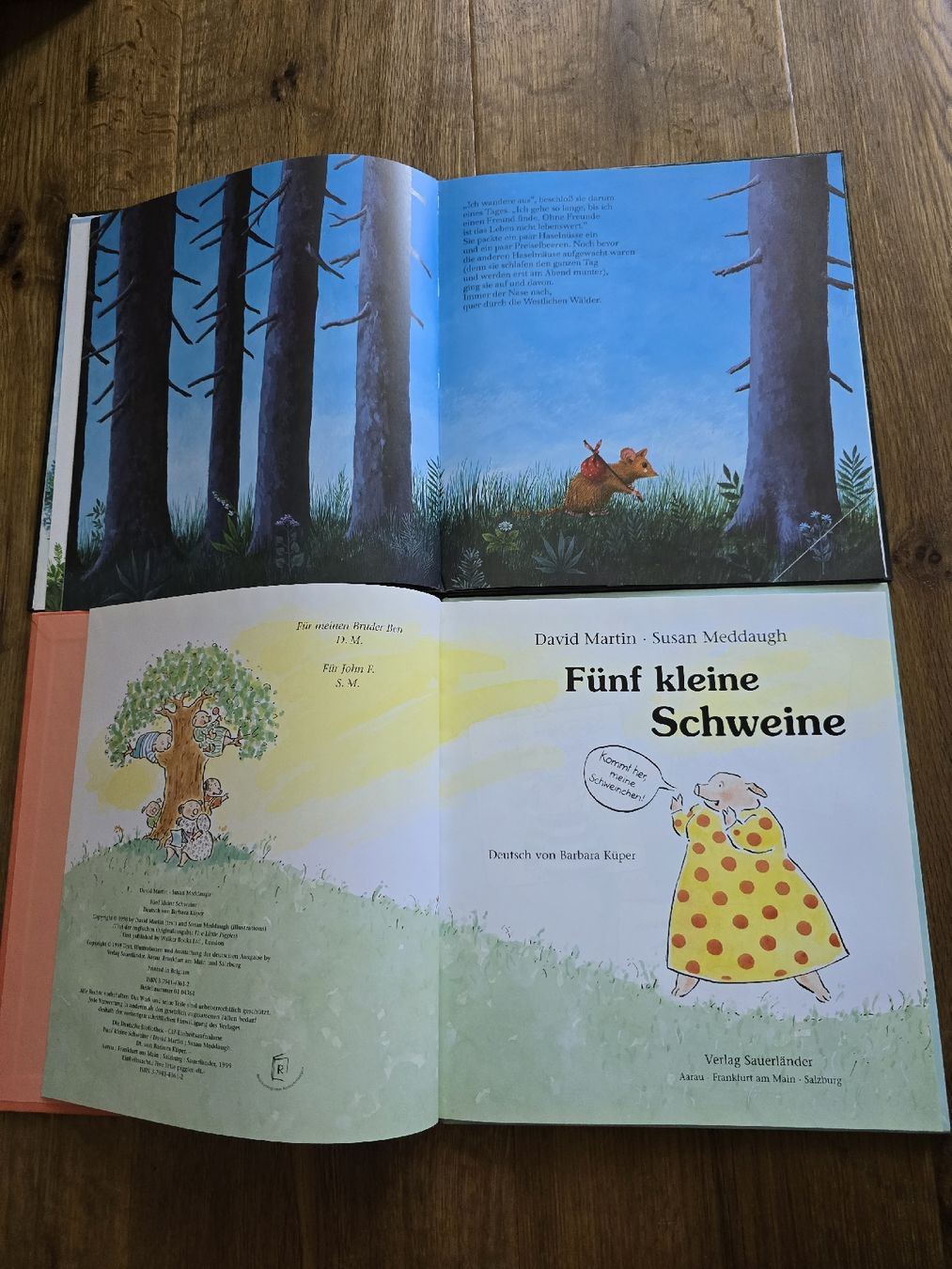 Libri: bücher für kinder – Usato da Wittenbach venduto da Tigerlili 1