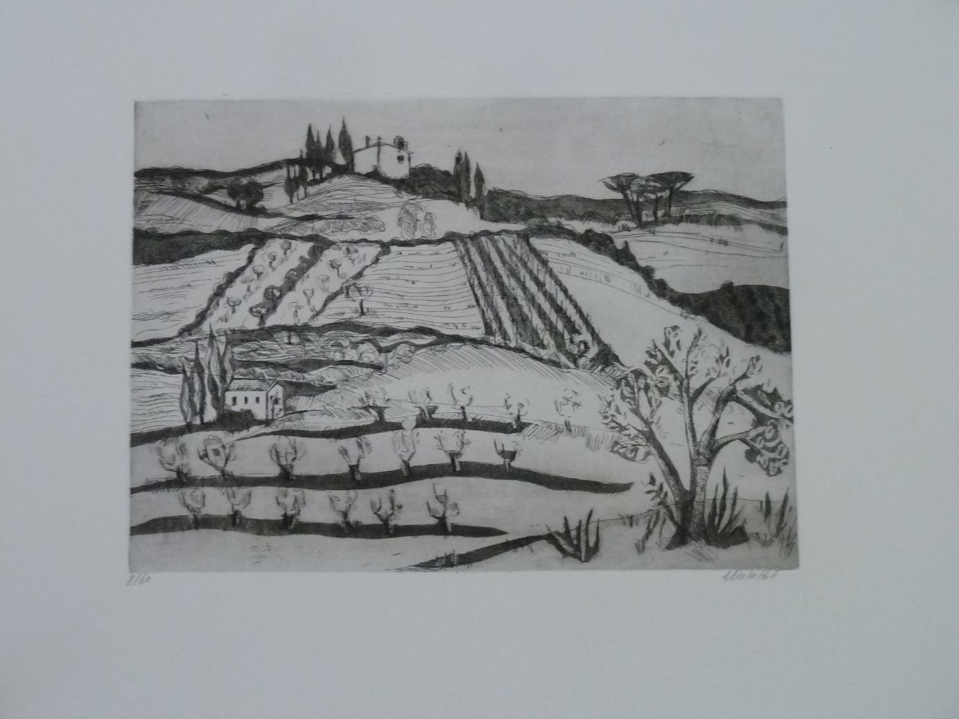 Grafica & Litografie: Salathé Ursula - Druck – Nuovo (secondo la descrizione) da Muri b. Bern venduto da Amelie4 1