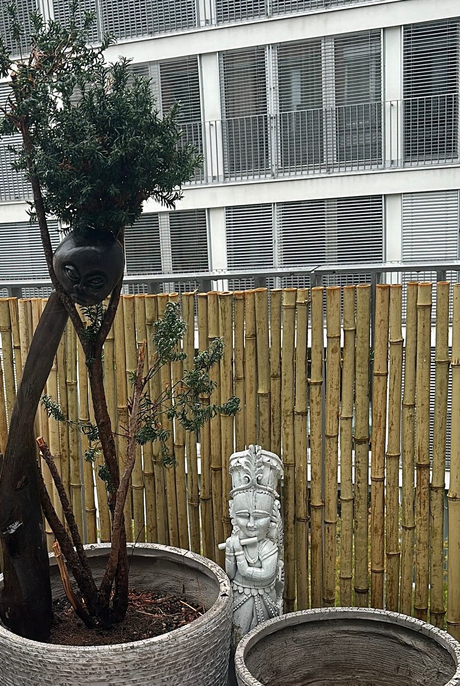 Paraventi: Bambus Balkon Sichtschutz – Nuovo e nell'imballaggio originale da Zürich venduto da andzuri