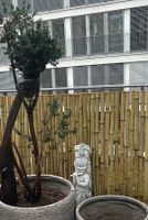 Bambus Balkon Sichtschutz