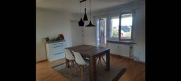 Hänge Lampe