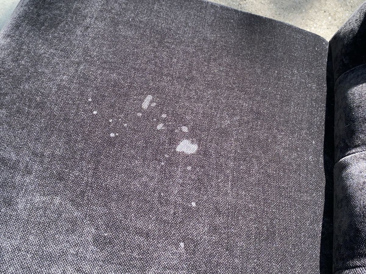 Stühle: 2er Set Samt-Stühle schwarz – Gebraucht aus Zürich von zoflora 8