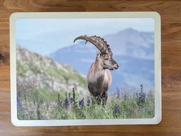 Steinbock Puzzle, 1000 Teile, neu